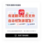 有道翻译是否支持自动检测源语言？