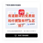有道翻译的免费版和付费版有什么区别？