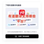 有道翻译支持哪些平台？