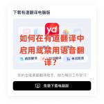 如何在有道翻译中启用或禁用语音翻译？